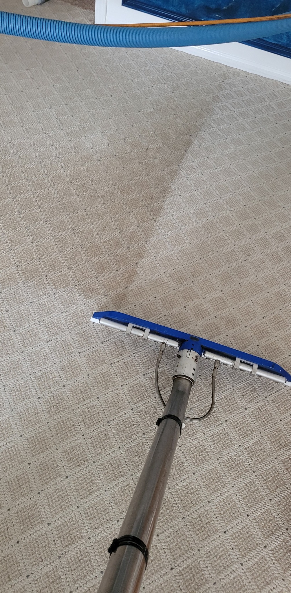 Quality Carpet Cleaning in Jackson Township New Jersey